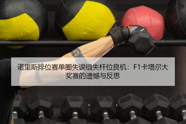 nuo-li-si-pai-wei-sai-dan-quan-shi-wu-cuo-shi-gan-wei-liang-ji-ka-ta-er-da-jiang-sai-de-yi-han-yu-fan-si-2-161.jpg
